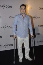 Gautam Singhania at Moet Hennesey launch of Chandon wines made now in India in Four Seasons, Mumbai on 19th Oct 2013